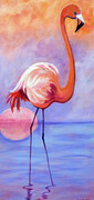 A Flamingo for Miya