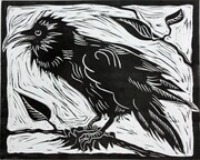 Ruffled Raven